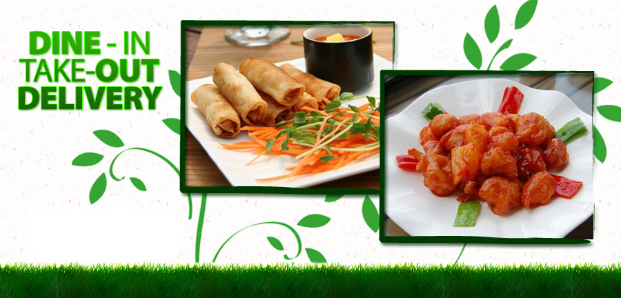 Yummy Garden Order Online Rochester Ny 14607 Chinese Slideshow