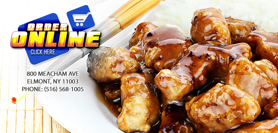 Taste Of China Order Online Elmont Ny 11003 Chinese